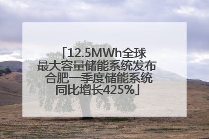 12.5MWh全球最大容量储能系统发布 合肥一季度储能系统同比增长425%