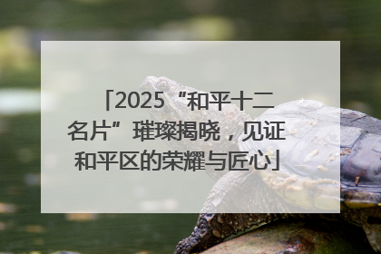 2025“和平十二名片”璀璨揭晓，见证和平区的荣耀与匠心