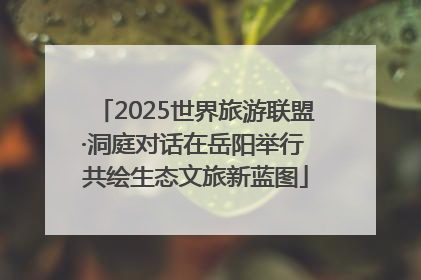 2025世界旅游联盟·洞庭对话在岳阳举行 共绘生态文旅新蓝图