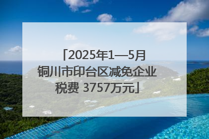 2025年1—5月铜川市印台区减免企业税费 3757万元