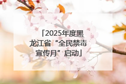 2025年度黑龙江省“全民禁毒宣传月”启动