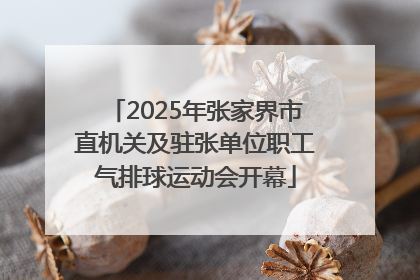 2025年张家界市直机关及驻张单位职工气排球运动会开幕