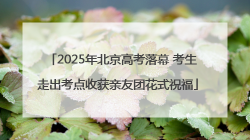 2025年北京高考落幕 考生走出考点收获亲友团花式祝福