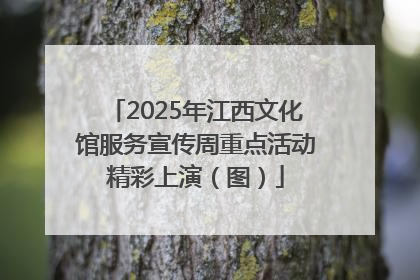 2025年江西文化馆服务宣传周重点活动精彩上演（图）
