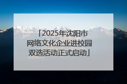 2025年沈阳市网络文化企业进校园双选活动正式启动