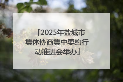 2025年盐城市集体协商集中要约行动推进会举办