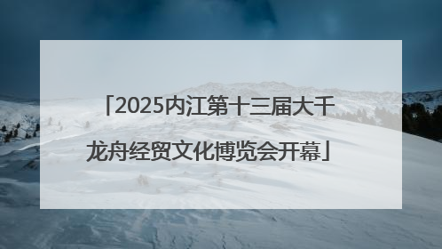 2025内江第十三届大千龙舟经贸文化博览会开幕