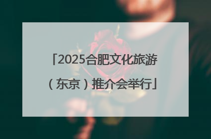 2025合肥文化旅游（东京）推介会举行