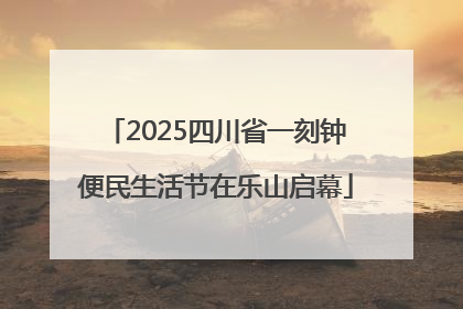 2025四川省一刻钟便民生活节在乐山启幕