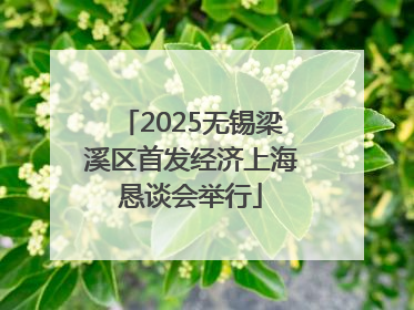 2025无锡梁溪区首发经济上海恳谈会举行