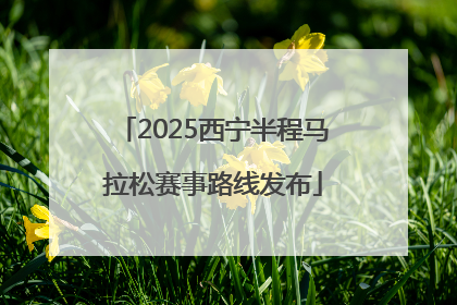 2025西宁半程马拉松赛事路线发布