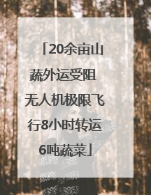 20余亩山蔬外运受阻 无人机极限飞行8小时转运6吨蔬菜