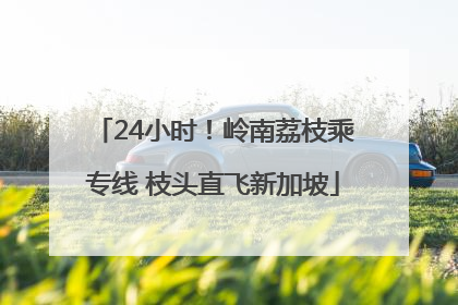 24小时！岭南荔枝乘专线 枝头直飞新加坡