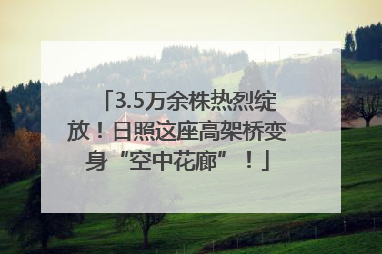 3.5万余株热烈绽放！日照这座高架桥变身“空中花廊”！