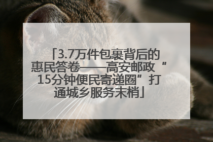 3.7万件包裹背后的惠民答卷——高安邮政“15分钟便民寄递圈”打通城乡服务末梢