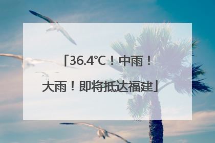 36.4℃！中雨！大雨！即将抵达福建