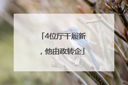 4位厅干履新，他由政转企