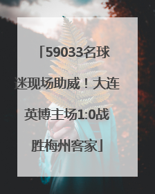59033名球迷现场助威！大连英博主场1:0战胜梅州客家