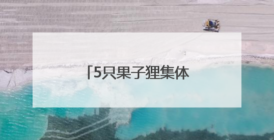 5只果子狸集体亮相湖南南山国家公园候选区