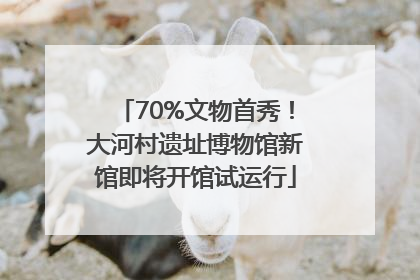 70%文物首秀！大河村遗址博物馆新馆即将开馆试运行