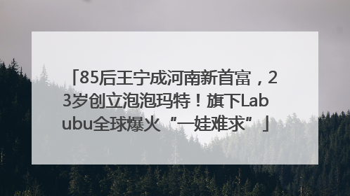 85后王宁成河南新首富，23岁创立泡泡玛特！旗下Labubu全球爆火“一娃难求”