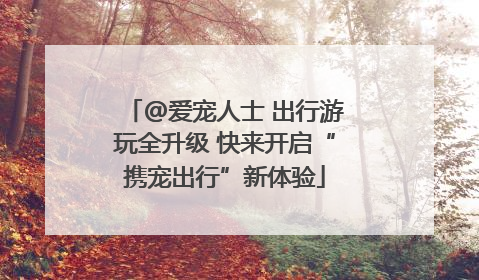 @爱宠人士 出行游玩全升级 快来开启“携宠出行”新体验