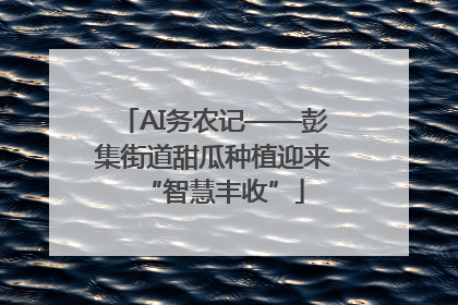 AI务农记——彭集街道甜瓜种植迎来“智慧丰收”