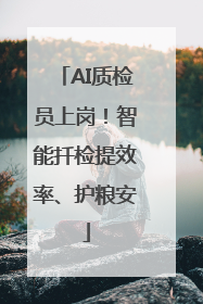 AI质检员上岗！智能扦检提效率、护粮安