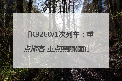 K9260/1次列车：重点旅客 重点照顾(图)