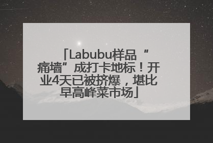 Labubu样品“痛墙”成打卡地标！开业4天已被挤爆，堪比早高峰菜市场
